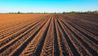 It’s April 15, Time To Plant Corn