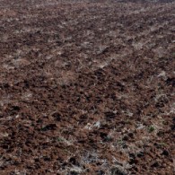 January On The Farm – Moving Grain And Year-End Reports